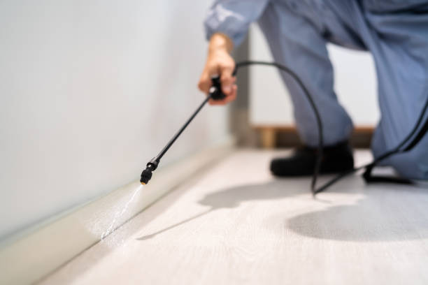 Certified termite inspector examining foundation in Luxemburg