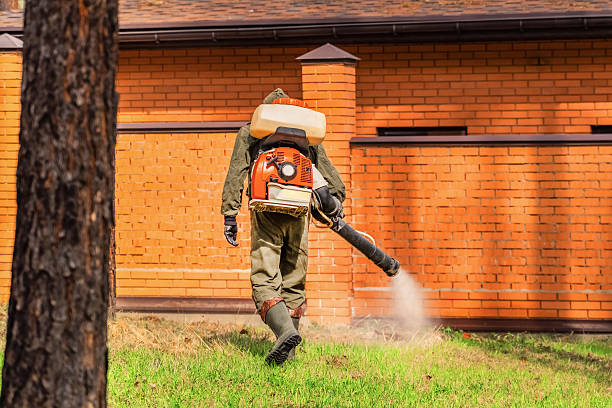 Top rated local Mosquito Control specialists in Luxemburg, WI